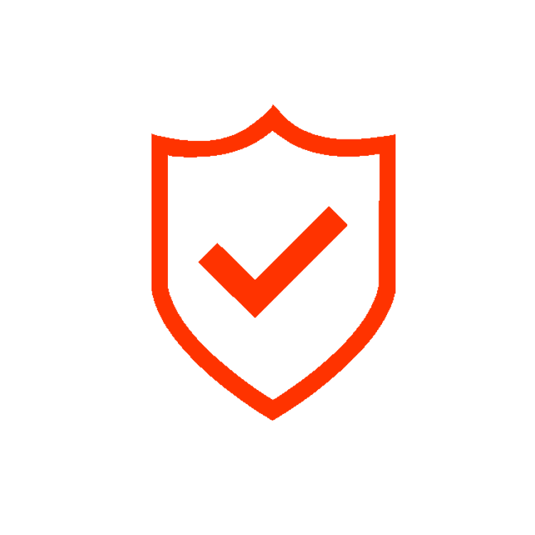 04_AIS_HP_Icon_security